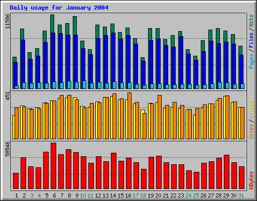 Daily usage for January 2004